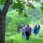 Walk with Huron River Watershed Council at Beckwith Nature Preserve