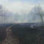 Prescribed Burn at Sharon Hills Nature Preserve