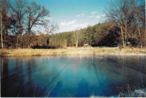 Little Pond on Farm