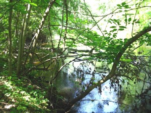 Manchester Michigan, Marsh Creek, River Raisin