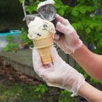 Ice Cream Social – CANCELLED