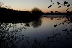 calm water - Lloyd