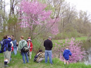 Spring Wildflower Hike