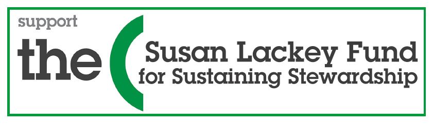 Susan Lackey Fund