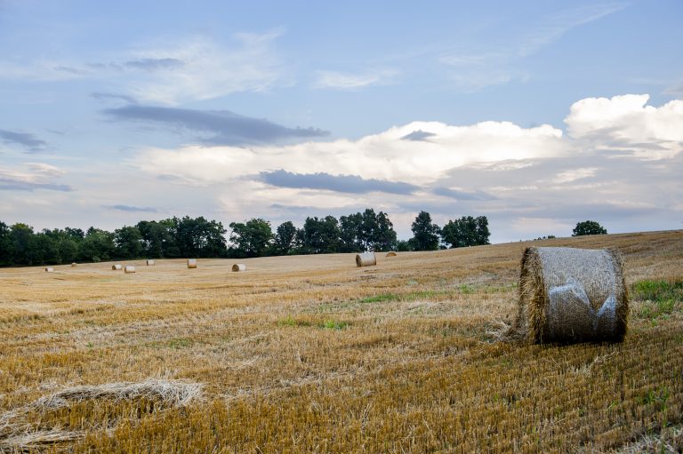 Scenic Washtenaw County Farm Now Conserved - Legacy Land Conservancy 