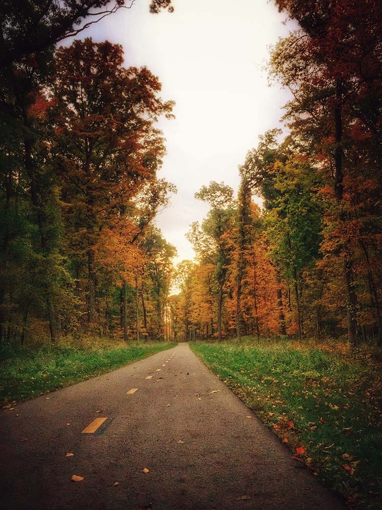 The Border-to-Border Trail between Dexter and the Hudson Mills Metropark. Photo by Paul Wiklanski.