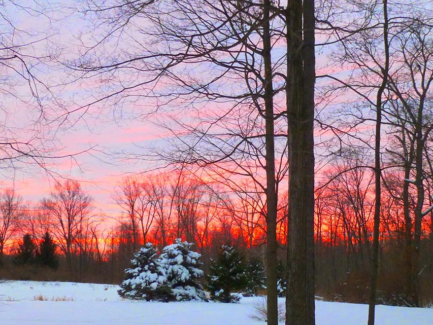 A winter sunset Dave and Cathy enjoyed from their woods. Photo by Dave Foster.