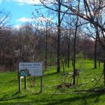 Medicinal Plants Walk