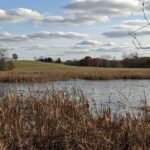 Township millages enhance local land preservation efforts