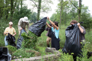 Stewardship Technician Madelyn Gaharan and volunteers dispose of invasive Japanese hedge parsley at a Sharon Hills Preserve workday