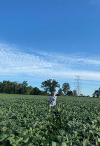 Volunteer John Dryden walks through a soybean field during a photomonitoring visit – Photo by Madelyn Gaharan