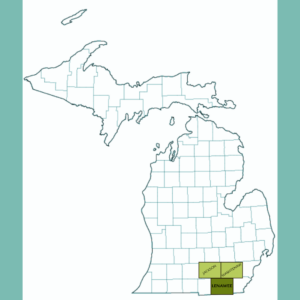 Michigan state county map with Jackson, Washtenaw, and Lenawee Counties