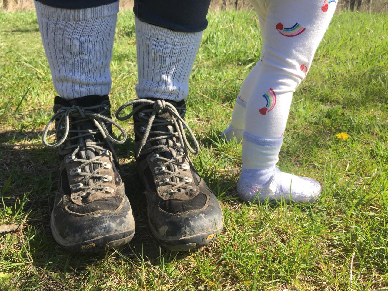 What Ticks? Legacy Land Conservancy Ann Arbor, MI