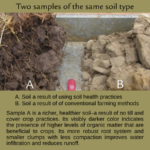 Welcoming soil health to the conversation