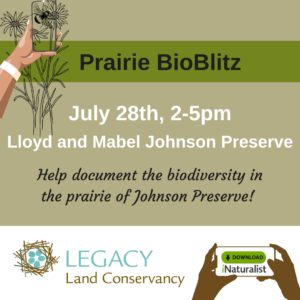 Johnson Preserve Prairie Bioblitz July 28, 2023 from 2-5pm