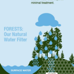 Forest to Mi Faucet: Connecting Forests, Water, & Communities