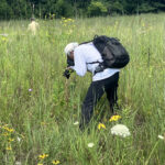BioBlitz at Johnson Preserve Adds Over 100 Observations
