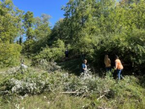 Student volunteers from Lenawee Intermediate School District remove invasive autumn olive from Sharon Hills Preserve