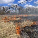 Prescribed Burn in the Johnson Preserve Prairie