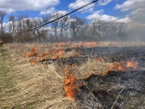 Prescribed fire burning in the prairie of Johnson Preserve.