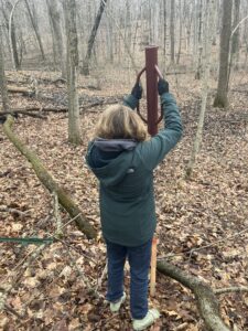 AmeriCorps member Annika Moran installs a boundary stake 