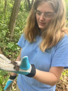 AmeriCorps member Annika Moran holds a salamander found hiding under the remains of the cabin.