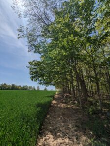 farm and forest land