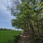 Southeast Michigan Conservation Coalition Project Selected for $24.6M Regional Conservation Partnership Program (RCPP) Award