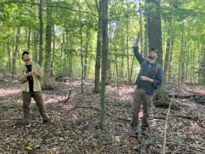 University of Michigan researchers study beech leaf disease in the forest at Creekshead Preserve. 