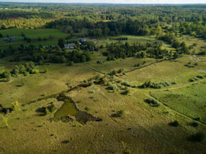 Ariel view of a fen on protected property in Jackson County. Photo credit - Eric Bronson, University of Michigan Media