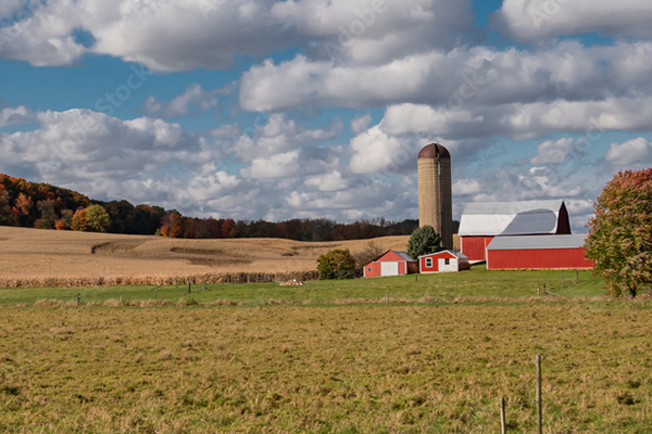 iron creek preserve landscape