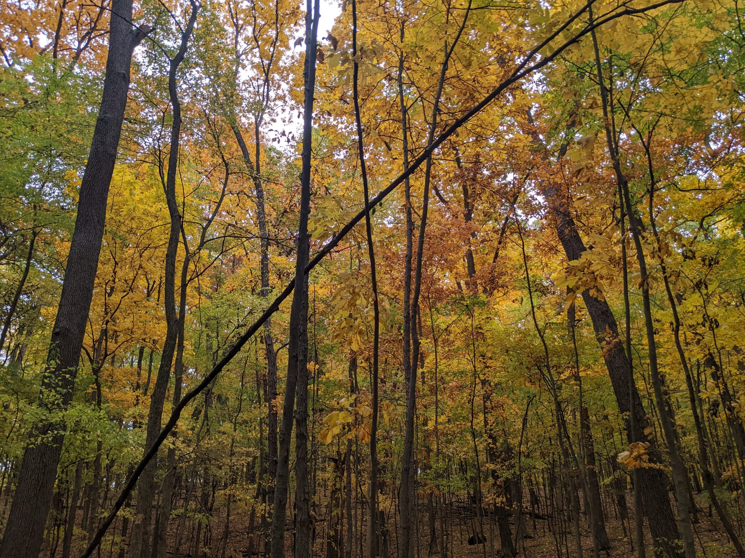 Federal Funding Uncertainty: Why Michigan’s Private Lands Need You Now More Than Ever Federal Funding Uncertainty: Why Michigan’s Private Lands Need You Now More Than Ever