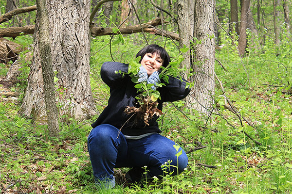 volunteer with garlic mustard