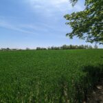 Federal Reversal Jeopardizes 4,000 Acres of Michigan Farmland and Forest