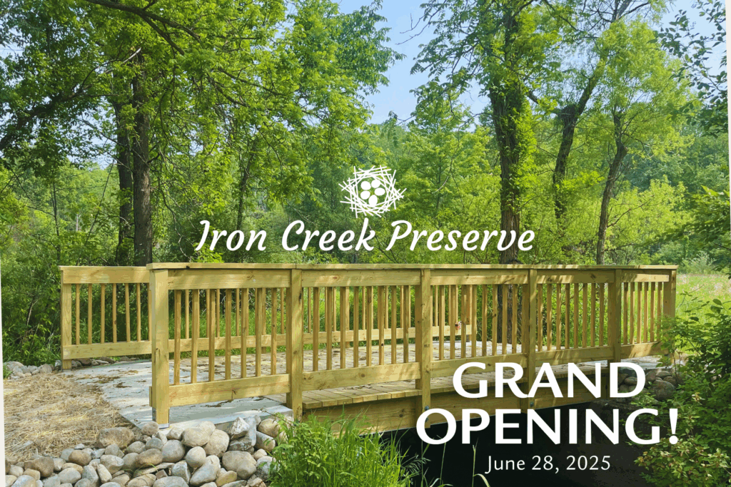 Wooden bridge over Iron Creek