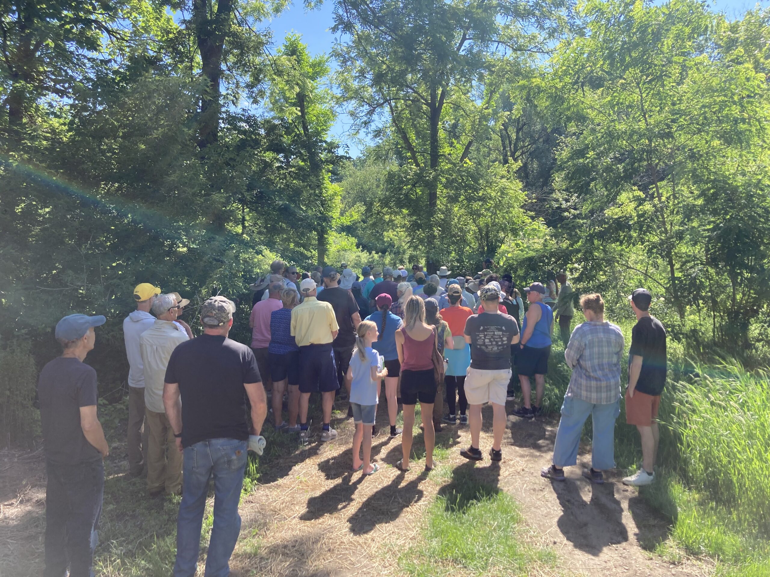 Many people gathered on a narrow path under tall green trees and blue sky.