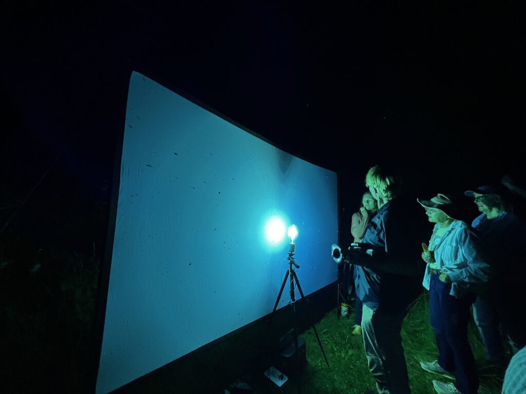 People at night outside holding cameras in front of a large sheet with a bright light shining on it.