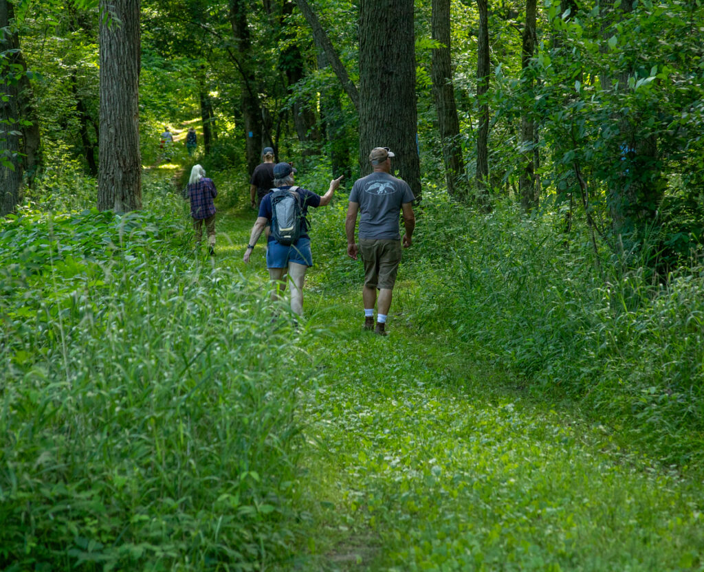 Four people walk on green path surrounded by green plants and tall trees.