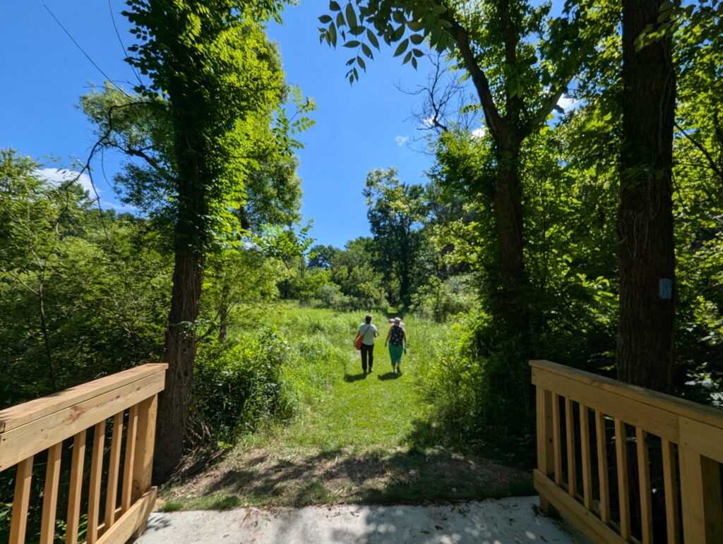 Two people walk on a green path. Wooden bridge in the foreground and green trees in the background.