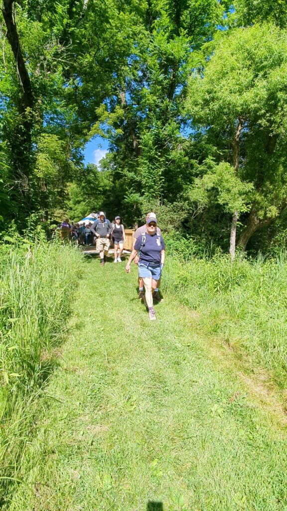 People walk on a green trail with green trees and blue sky behind them.