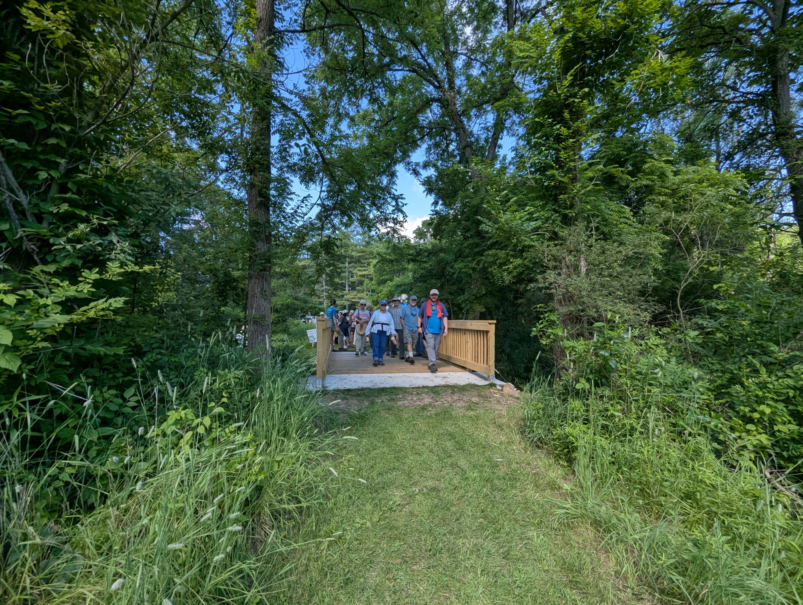 Many people walk across a bridge that is in the middle of green trees.