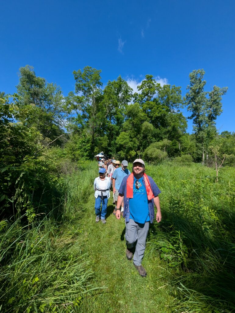 Many people walk on a green trail with short green vegetation on the sides and green trees and blue sky in the background.