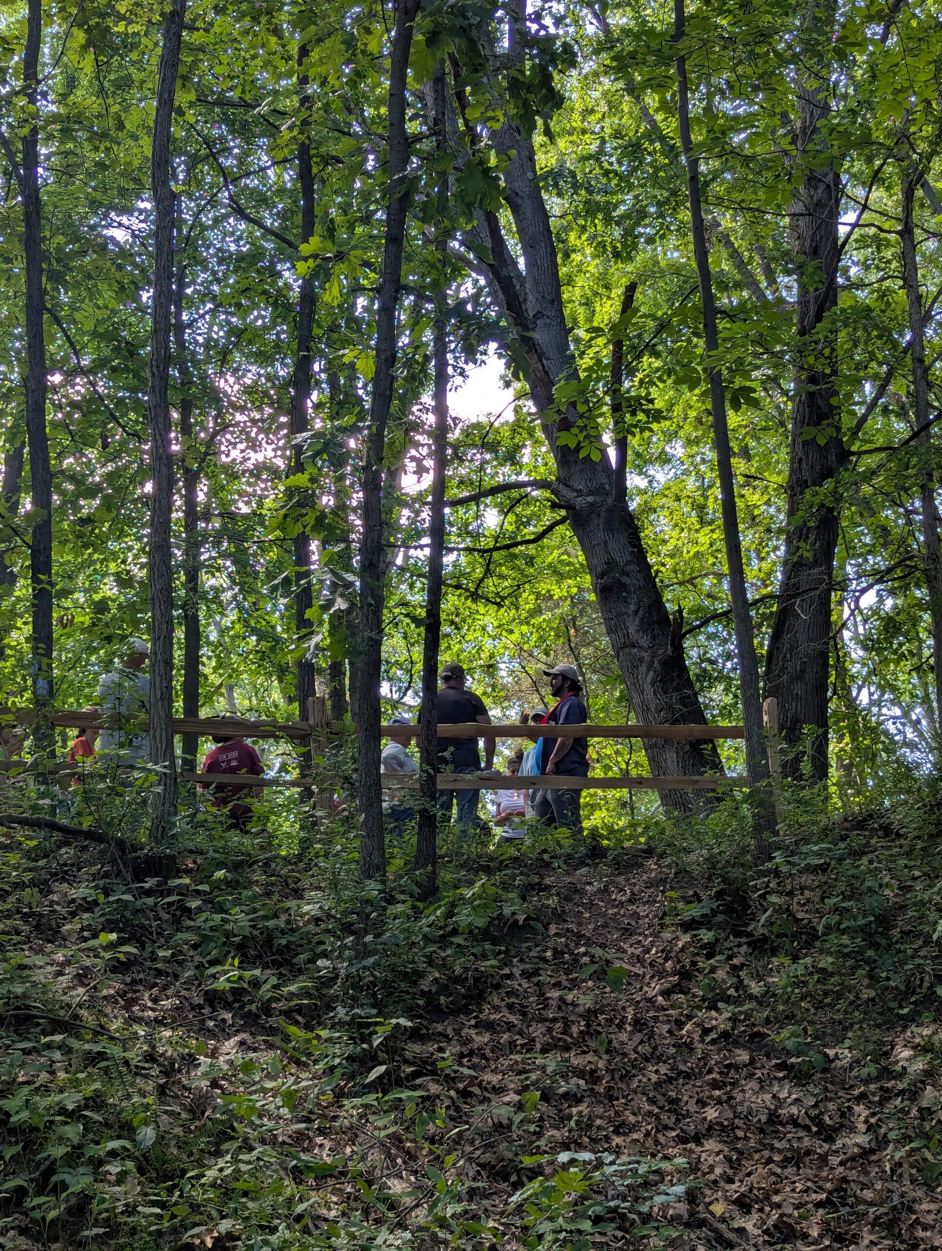 People standing behind a split-rail fence under green trees.