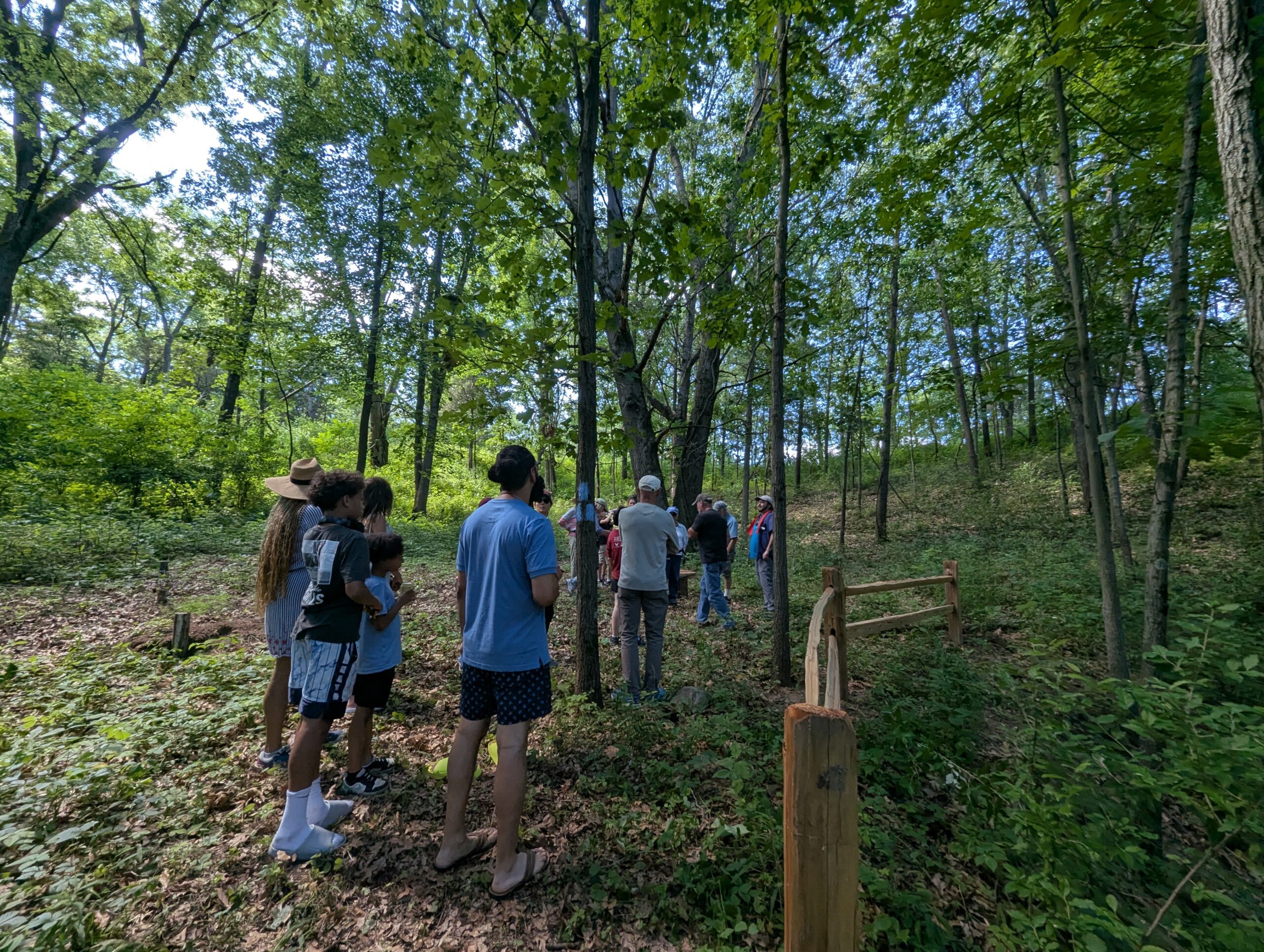 Many people of all ages stand under green trees and blue sky.