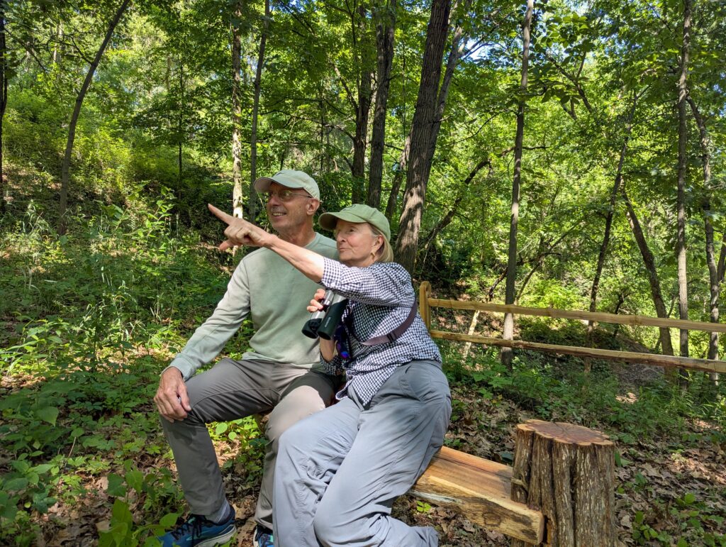 Two people sitting on a bench. One is point and holding binoculars looking for birds.
