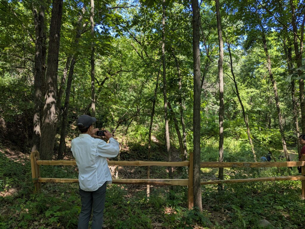One person takes a photo of green trees overlooking a steep hill.