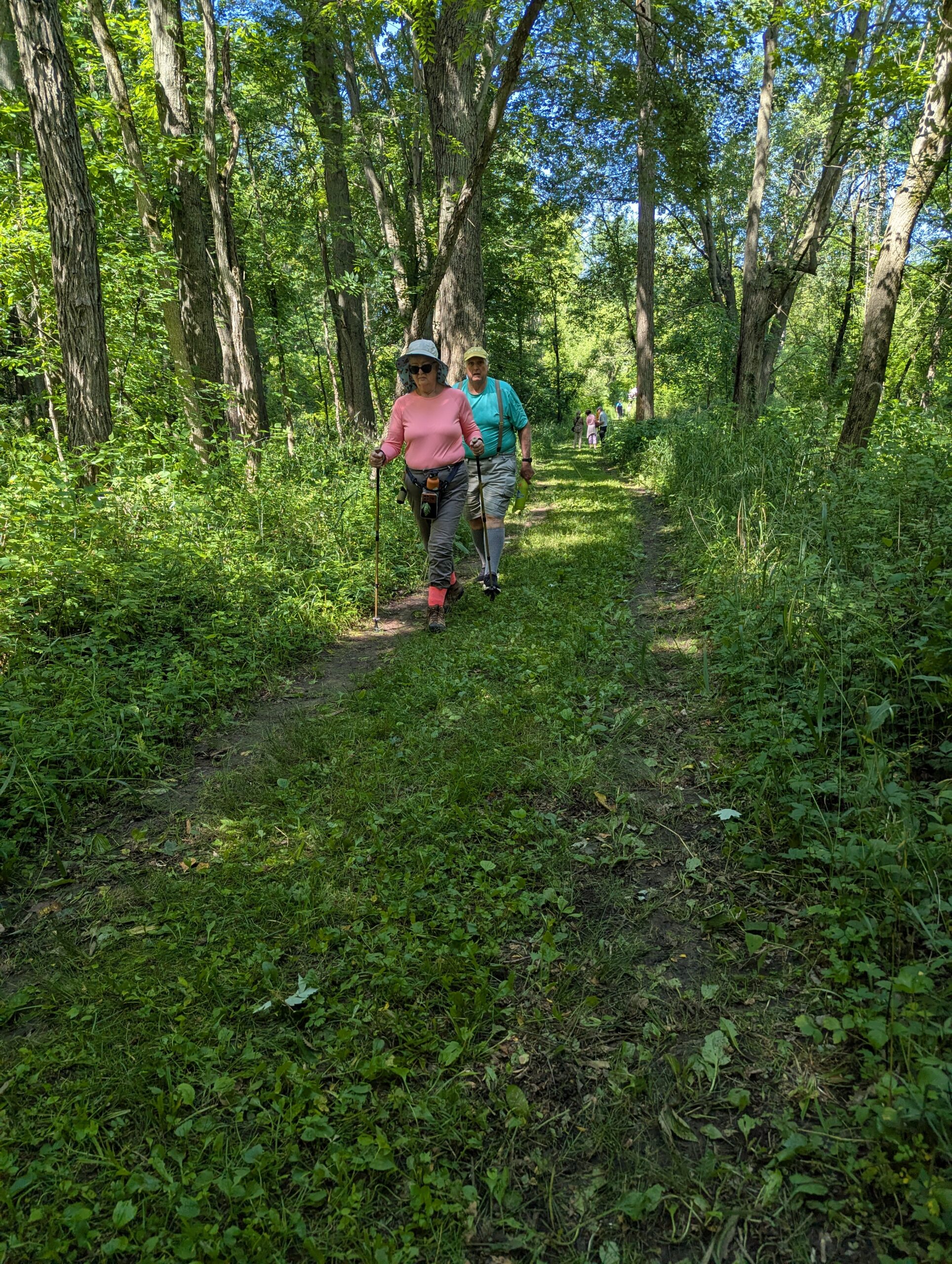 Two people walk the on a trail surrounded by green trees and blue sky above.