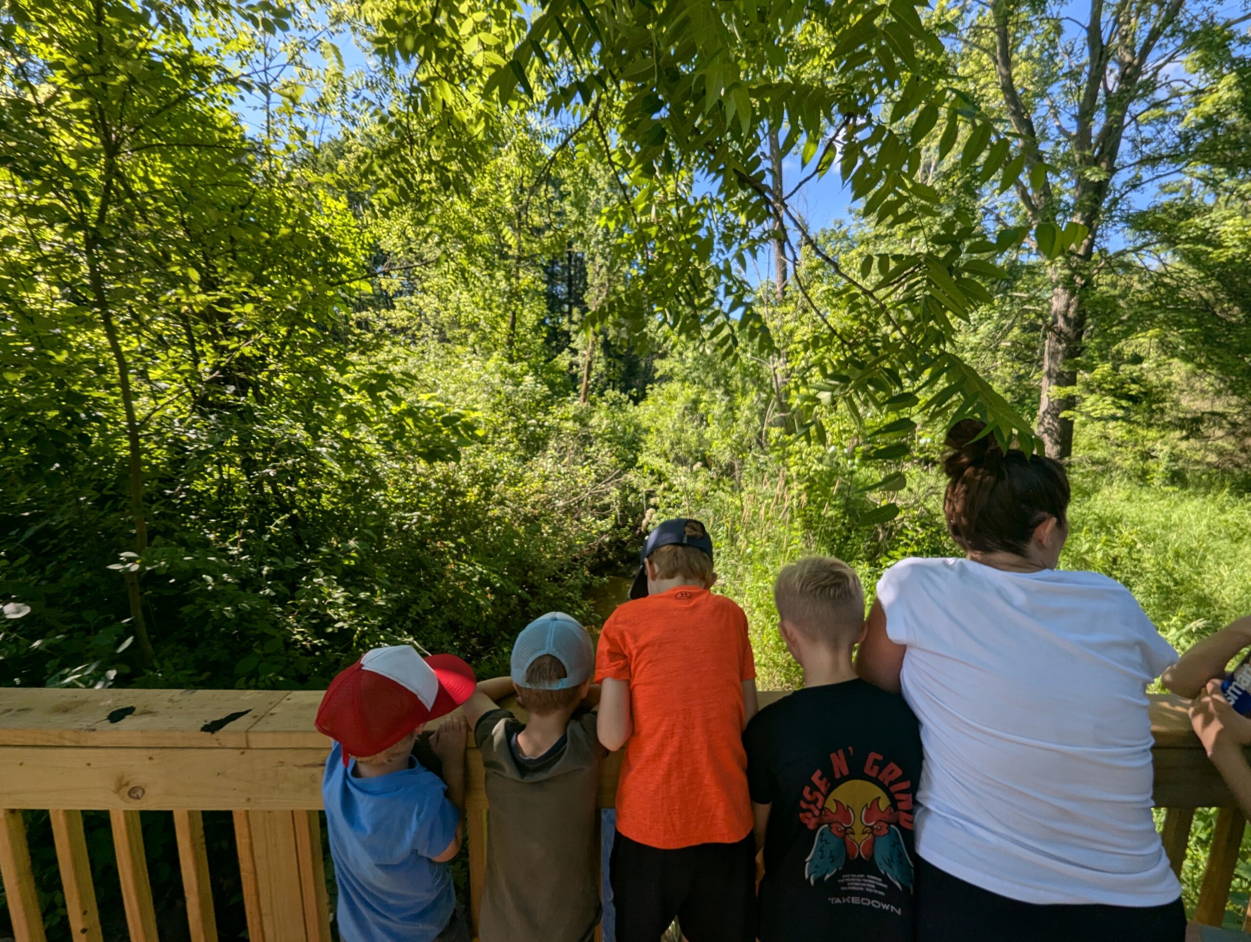One adult and four kids stand on a wooden bridge and look down at a creek flowing beneath them.