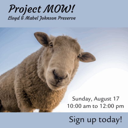 Project MOW Kick-Off & Sheep Supervision @ Lloyd and Mabel Johnson Preserve (8/17/25)