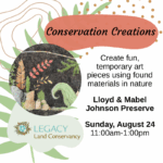 🎨Conservation Creations: Nature Art at Johnson Preserve